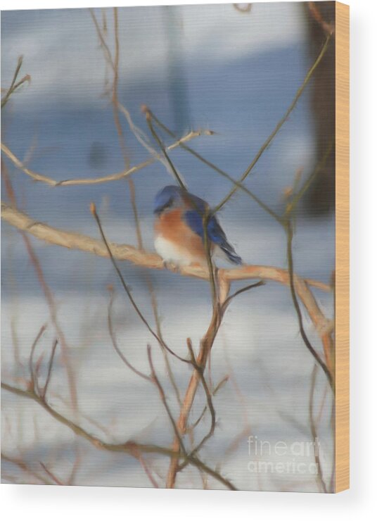 Bluebird Wood Print featuring the painting Winter Bluebird Nature Art by Smilin Eyes Treasures