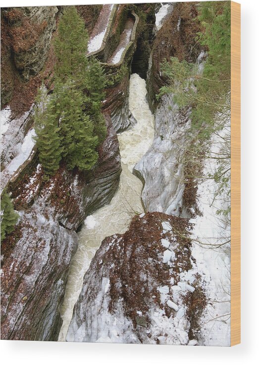 Winter Wood Print featuring the photograph Winter Gorge by Azthet Photography