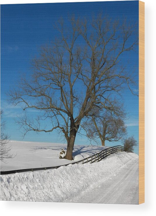 Virginia Wood Print featuring the photograph Winter on a Country Road by Joyce Kimble Smith