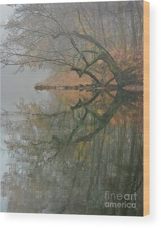 Reflection Wood Print featuring the photograph Yearming by Tom Cameron