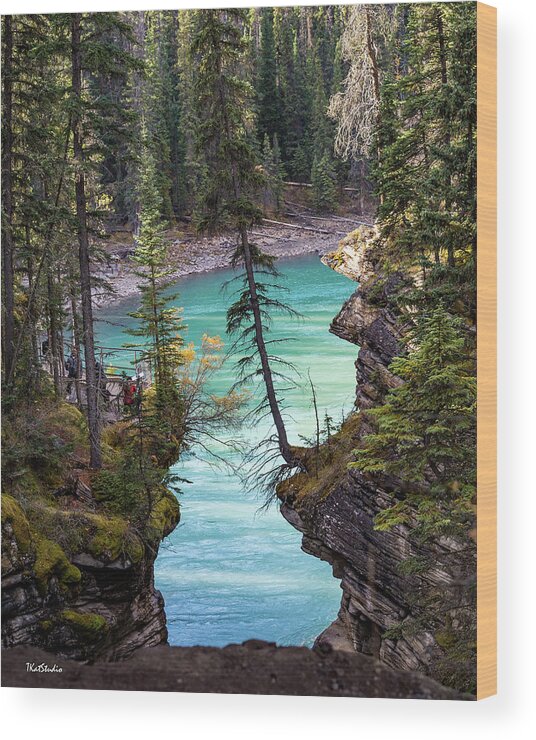 Highway 93 Wood Print featuring the photograph Athabasca Falls #1 by Tim Kathka