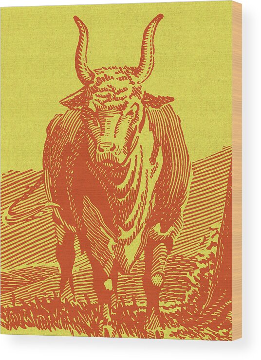Agriculture Wood Print featuring the drawing Bull #1 by CSA Images