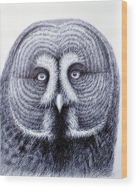 Birds Wood Print featuring the drawing Owl Portrait by Rick Hansen