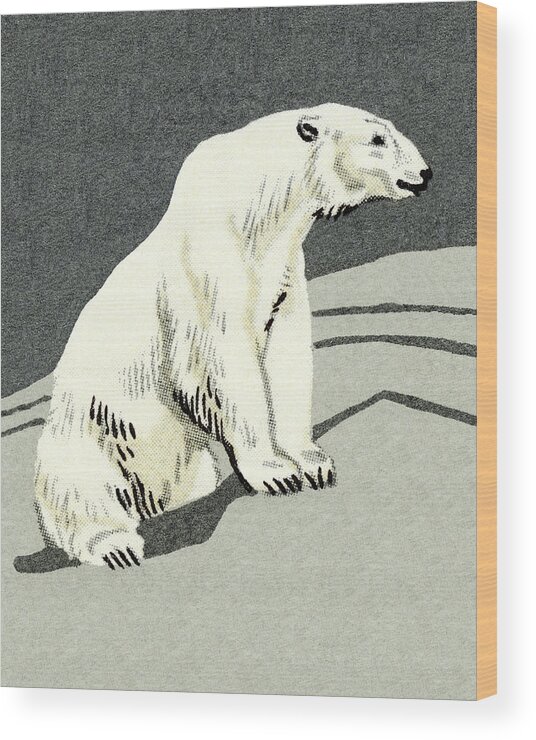 Animal Wood Print featuring the drawing Polar Bear #1 by CSA Images