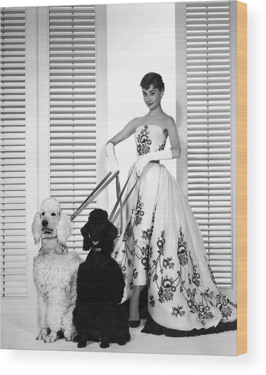 Audrey Hepburn Wood Print featuring the photograph AUDREY HEPBURN in SABRINA -1954-. #2 by Album