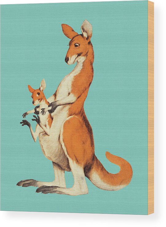 Animal Wood Print featuring the drawing Kangaroo and Joey #2 by CSA Images