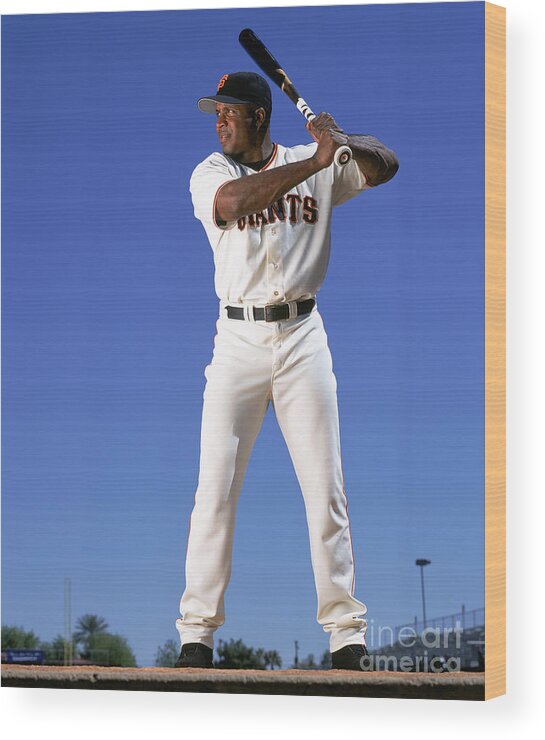 Arizona Wood Print featuring the photograph Barry Bonds #3 by Andy Hayt