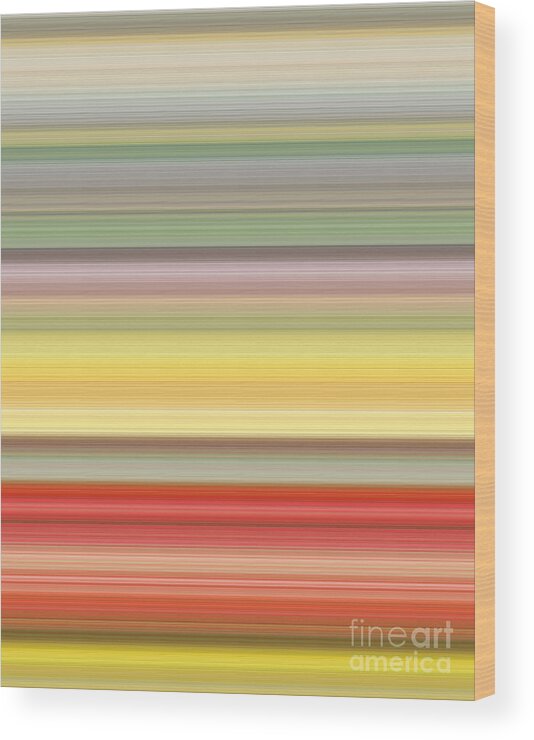 Colours Wood Print featuring the digital art Number Forty Three, 2017 by Alex Caminker