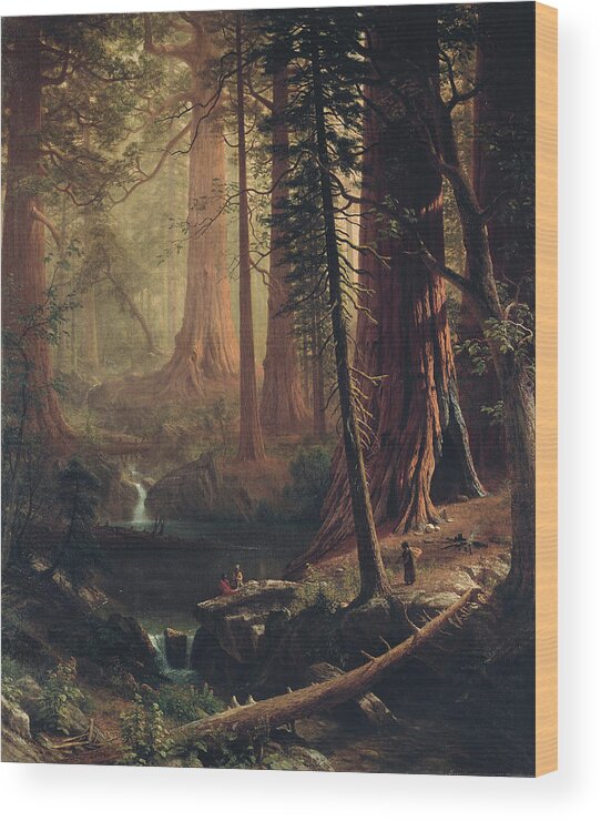 Albert Bierstadt Wood Print featuring the painting Giant Redwood Trees of California #14 by Albert Bierstadt