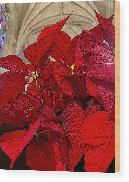 Poinsettia Wood Print featuring the digital art Advent by Gina Harrison
