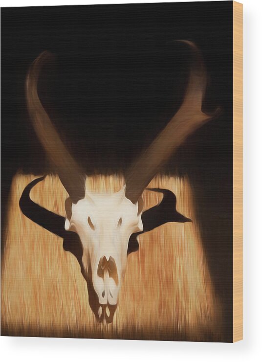 Kansas Wood Print featuring the photograph Antelope 002 by Rob Graham