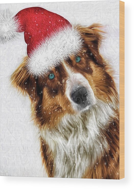 Christmas Wood Print featuring the digital art Austrailian Shepherd Santa by Doreen Erhardt