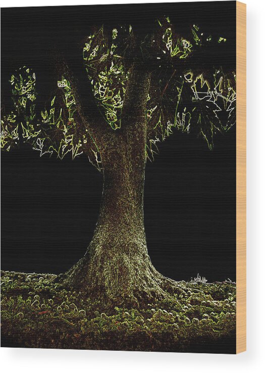 Outdoors Wood Print featuring the photograph Bonsai Tree With Moss At Night by Michael Duva