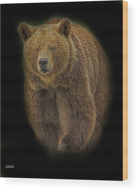 Brown Bear Wood Print featuring the digital art Brown Bear In Darkness by Larry Linton