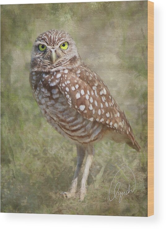 Bird Wood Print featuring the photograph Burrowing Owl by Karen Lynch