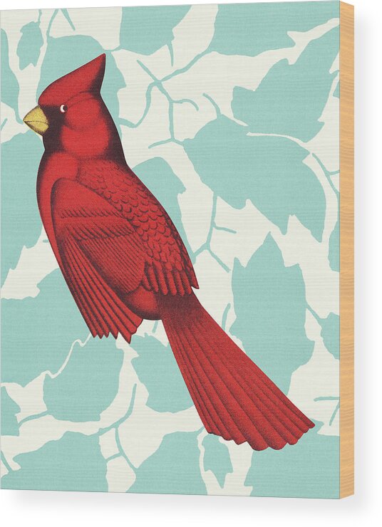 Animal Wood Print featuring the drawing Cardinal by CSA Images