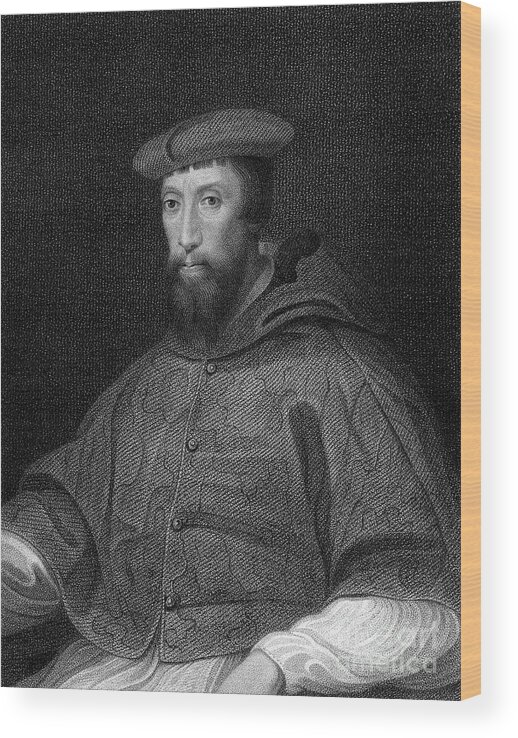 Engraving Wood Print featuring the drawing Cardinal Reginald Pole 1500-1558 by Print Collector