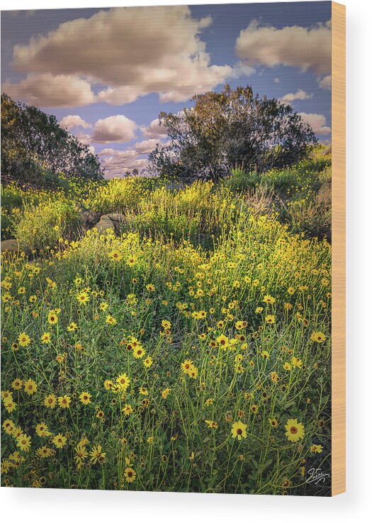 Chatsworth Wood Print featuring the photograph Chatsworth Wildflower Bloom by Endre Balogh