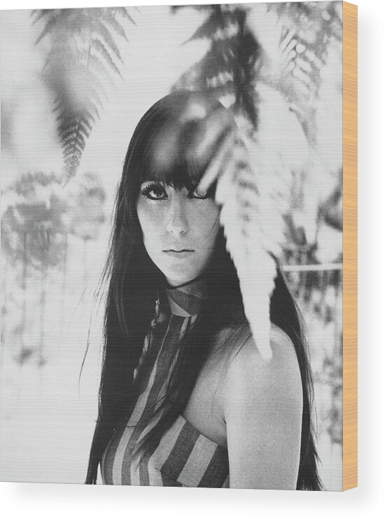 Cher - Performer Wood Print featuring the photograph Cher Portrait With Ferns by Michael Ochs Archives
