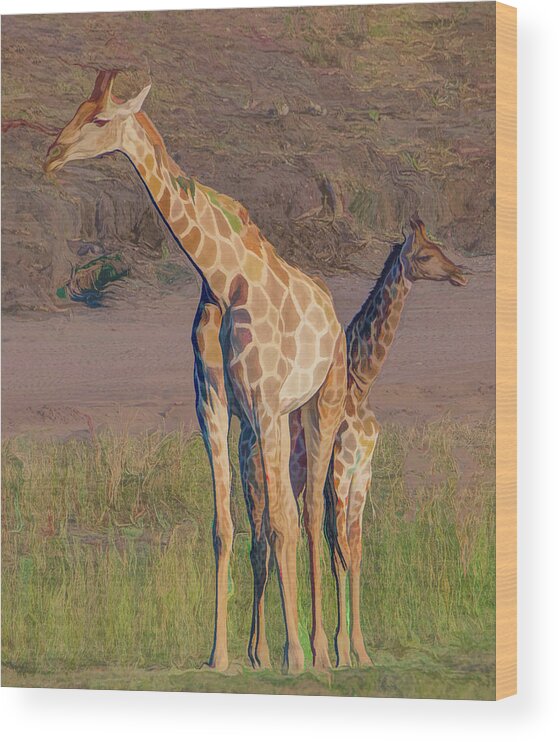  Wood Print featuring the photograph Chobe Giraffes, Painterly by Marcy Wielfaert