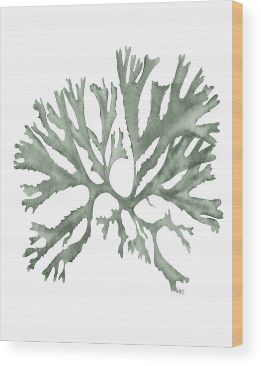 Plant Wood Print featuring the painting Coral 18 Green by Fab Funky