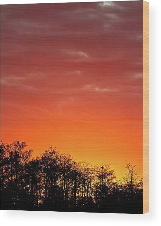 Swamp Wood Print featuring the photograph Cypress Swamp Sunset 4 by Steve DaPonte