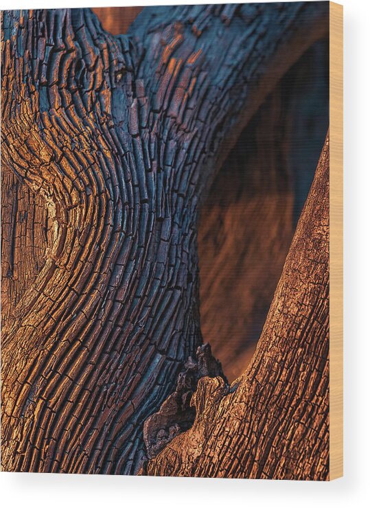 Abstract Wood Print featuring the photograph Driftwood at Sunset by Robert FERD Frank
