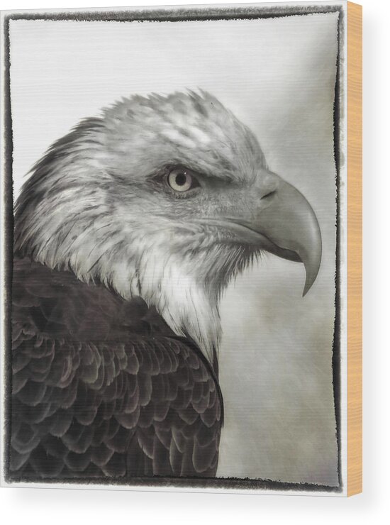 Birds Wood Print featuring the photograph Eagle Protrait by Elaine Malott