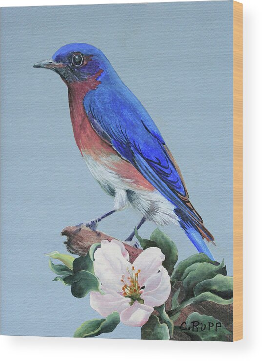 Eastern Bluebird Wood Print featuring the painting Eastern Bluebird by Carol J Rupp