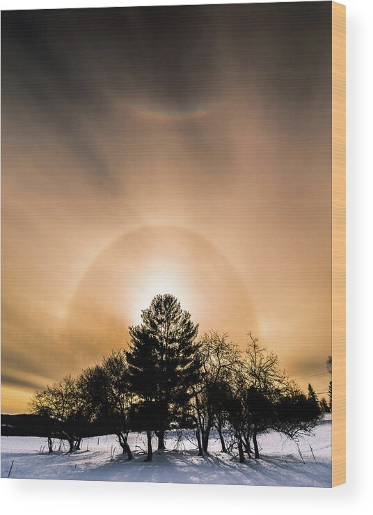 Cold Wood Print featuring the photograph Fire and Ice Portrait by Tim Kirchoff
