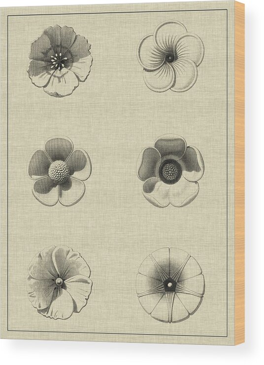 Wag Public Wood Print featuring the painting Floral Rosette I by Vision Studio