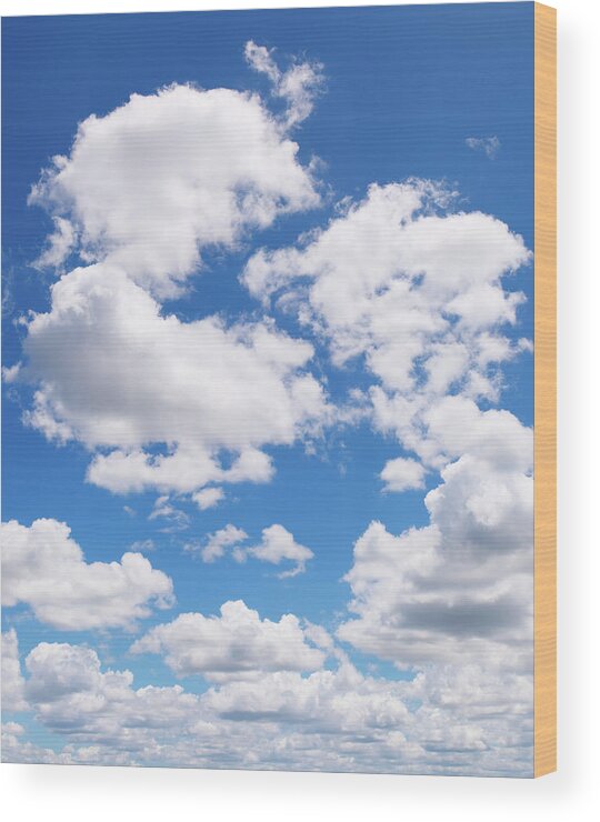 Sunlight Wood Print featuring the photograph Fluffy Clouds Xxl - Vertical by Turnervisual