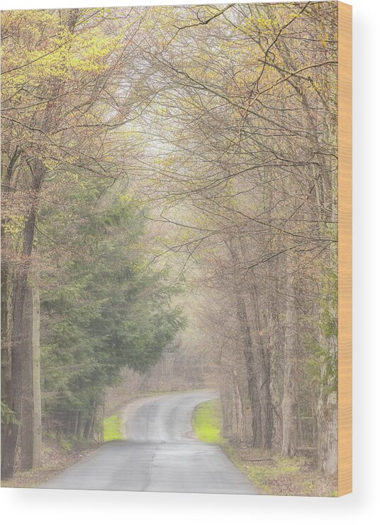 Fog Wood Print featuring the photograph Foggy Way by Rod Best