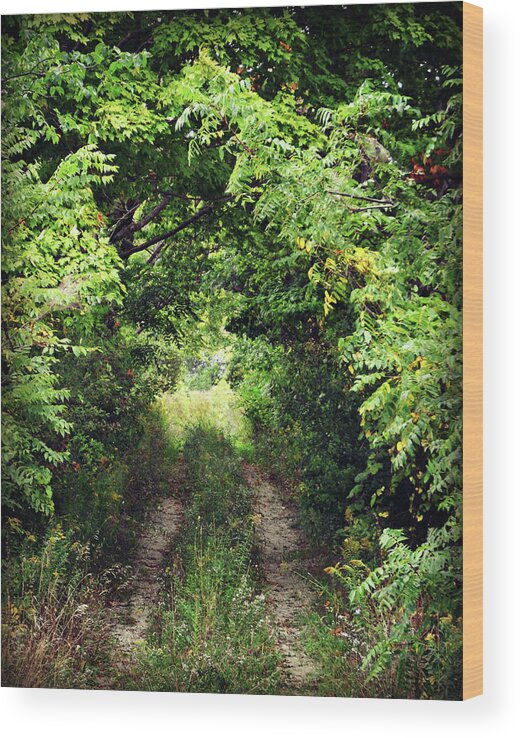 Forest Path Wood Print featuring the photograph Forest Path by Cyryn Fyrcyd