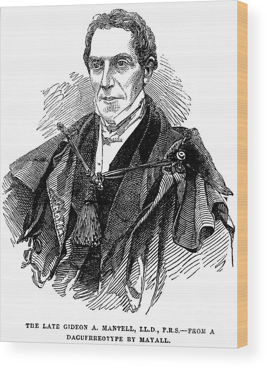 Engraving Wood Print featuring the drawing Gideon Algernon Mantell, English by Print Collector
