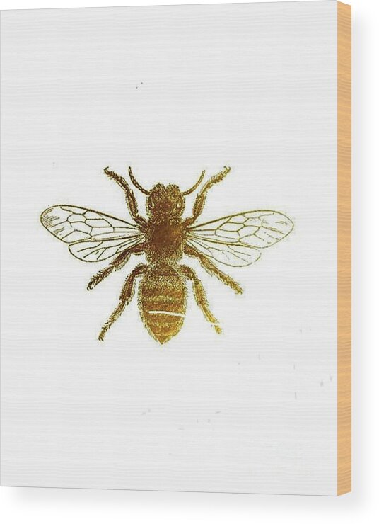 Bee Wood Print featuring the painting Golden Bee by Vesna Antic