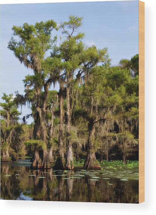 Spanish Moss Wood Print featuring the photograph Grace of Caddo by Lana Trussell