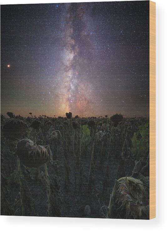 Milky Way Wood Print featuring the photograph Hello,My name is Human by Aaron J Groen