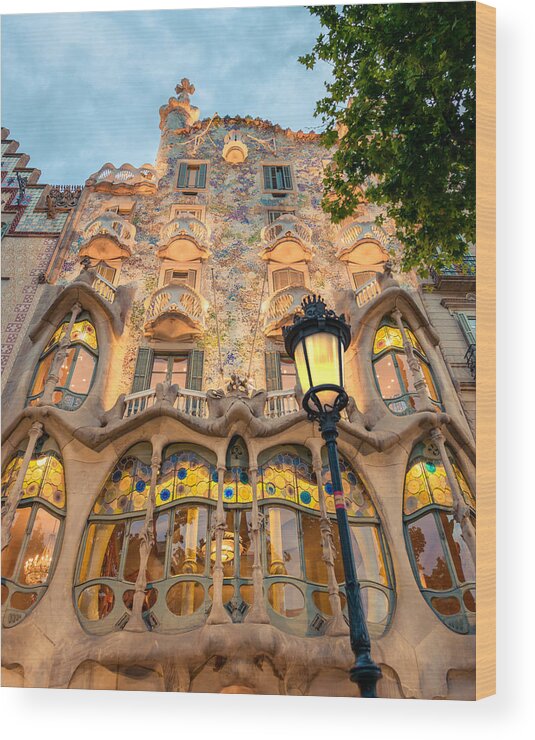 Casa Batllo Wood Print featuring the photograph House of Bones by Slow Fuse Photography