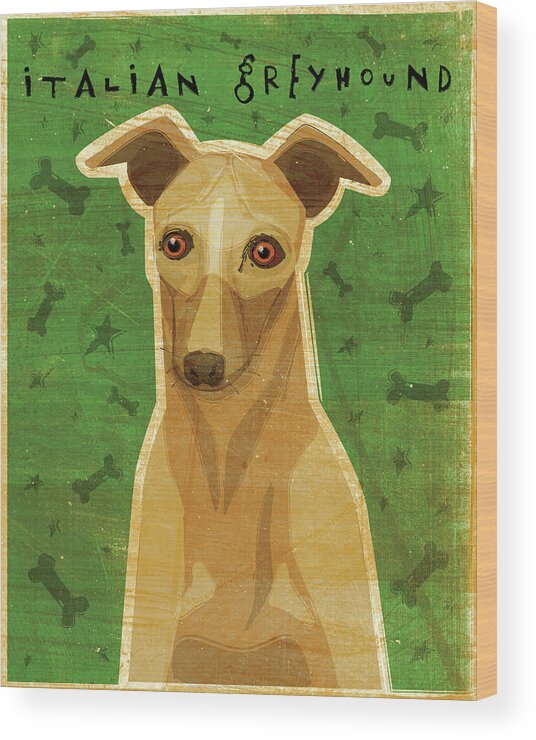 Italian Greyhound - Fawn Wood Print featuring the photograph Italian Greyhound - Fawn by John W. Golden
