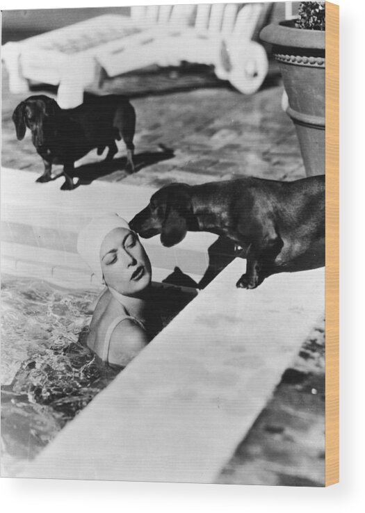 Joan Crawford Wood Print featuring the photograph Joan Crawford With Dachshunds by American Stock Archive