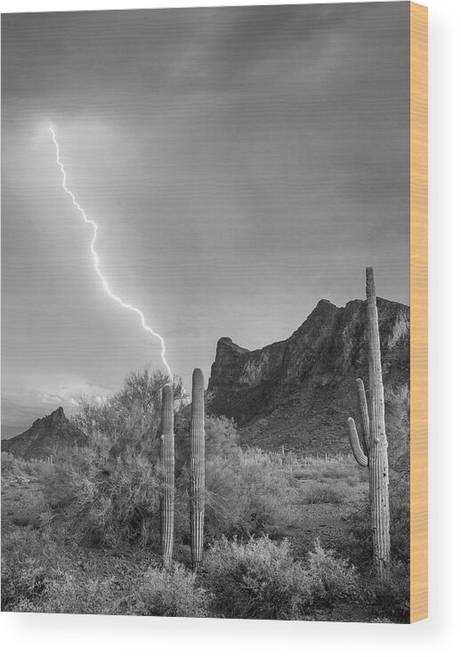 Disk1216 Wood Print featuring the photograph Lighting Over Picacho Peak by Tim Fitzharris