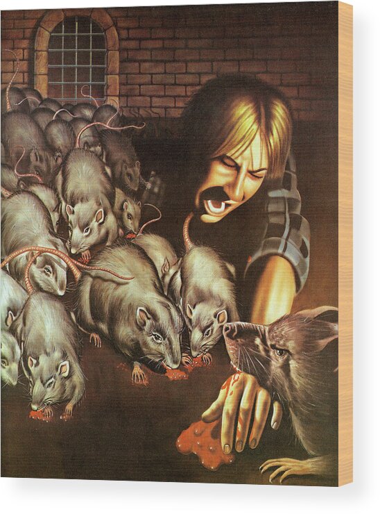 Adult Wood Print featuring the drawing Man Being Bit By Rats by CSA Images