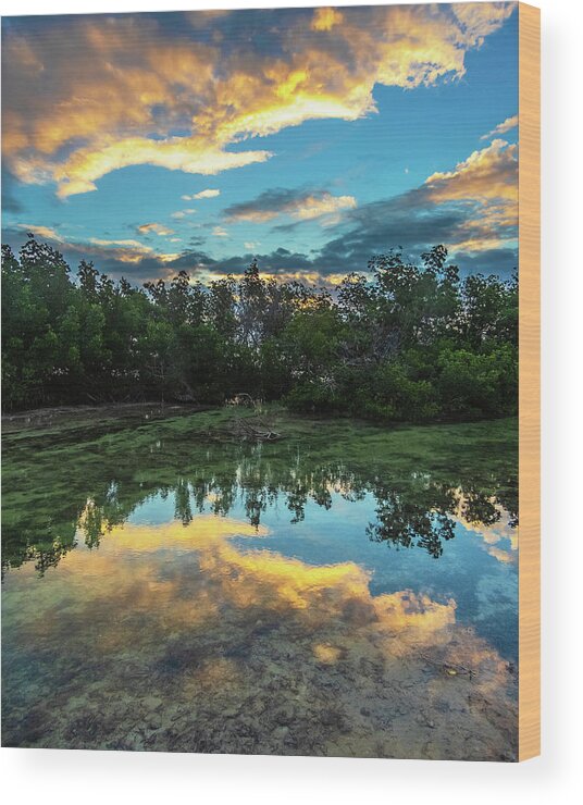 Sunrise Wood Print featuring the photograph Mangrove Reflection at Sunrise in Key West by Bob Slitzan