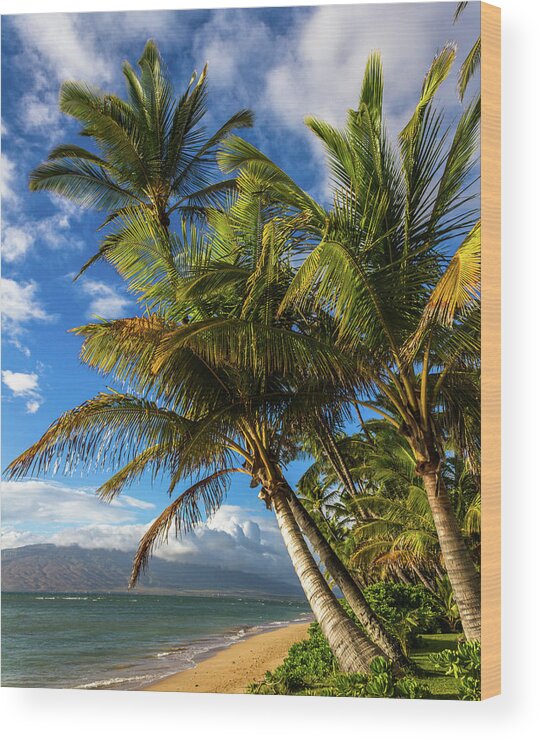 Beach Wood Print featuring the photograph Maui Palm trees by Chris Spencer