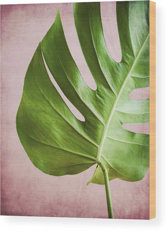 Monstera Wood Print featuring the photograph Monstera Pink One by Lupen Grainne