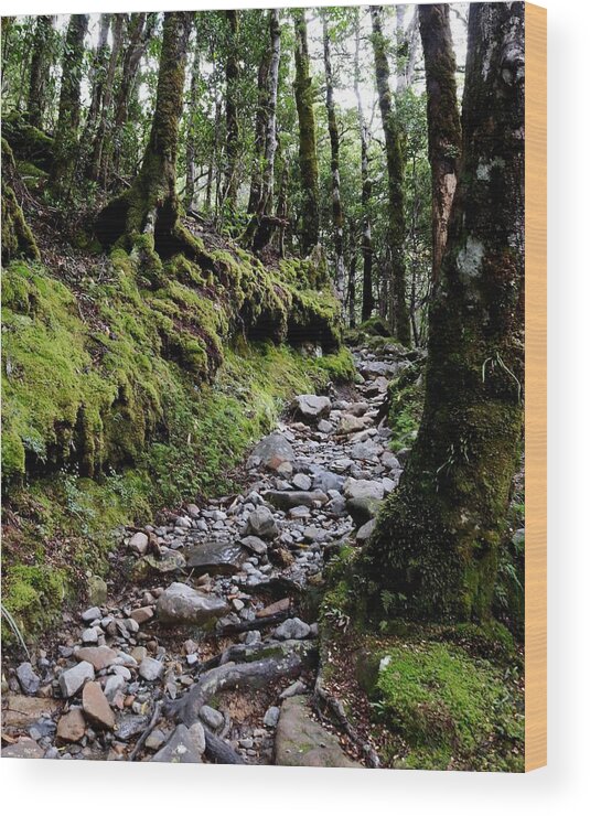Mossy Wood Print featuring the photograph Mossy Trail, Arthurs Pass, New Zealand by Sarah Lilja