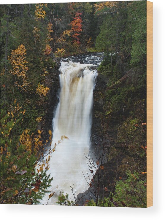 Moxie Wood Print featuring the photograph Moxie Falls by Rick Hartigan