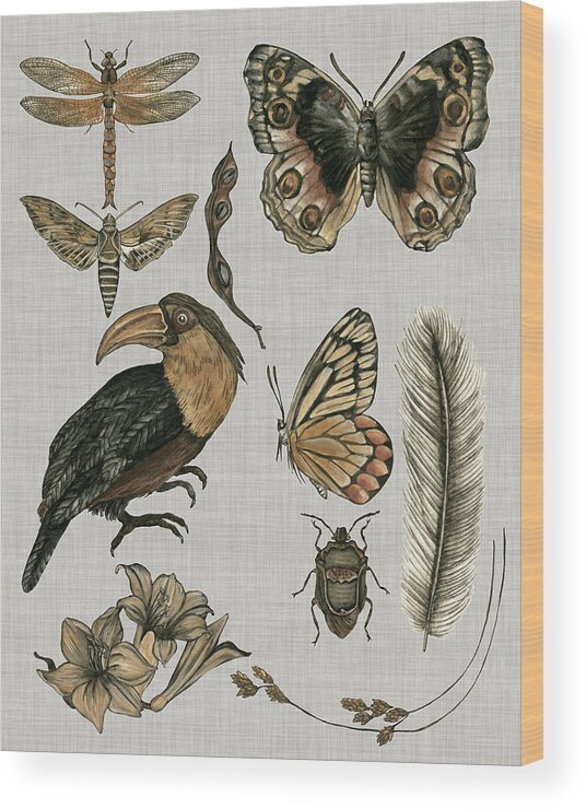 Animals Wood Print featuring the painting Nature Studies I by Melissa Wang