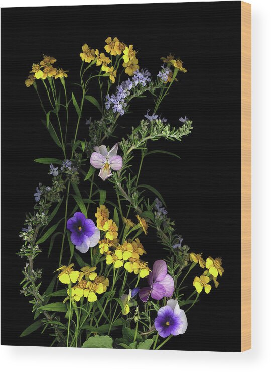 Pansies Wood Print featuring the painting Pansy, Rosemary & French Tarragon by Susan S. Barmon